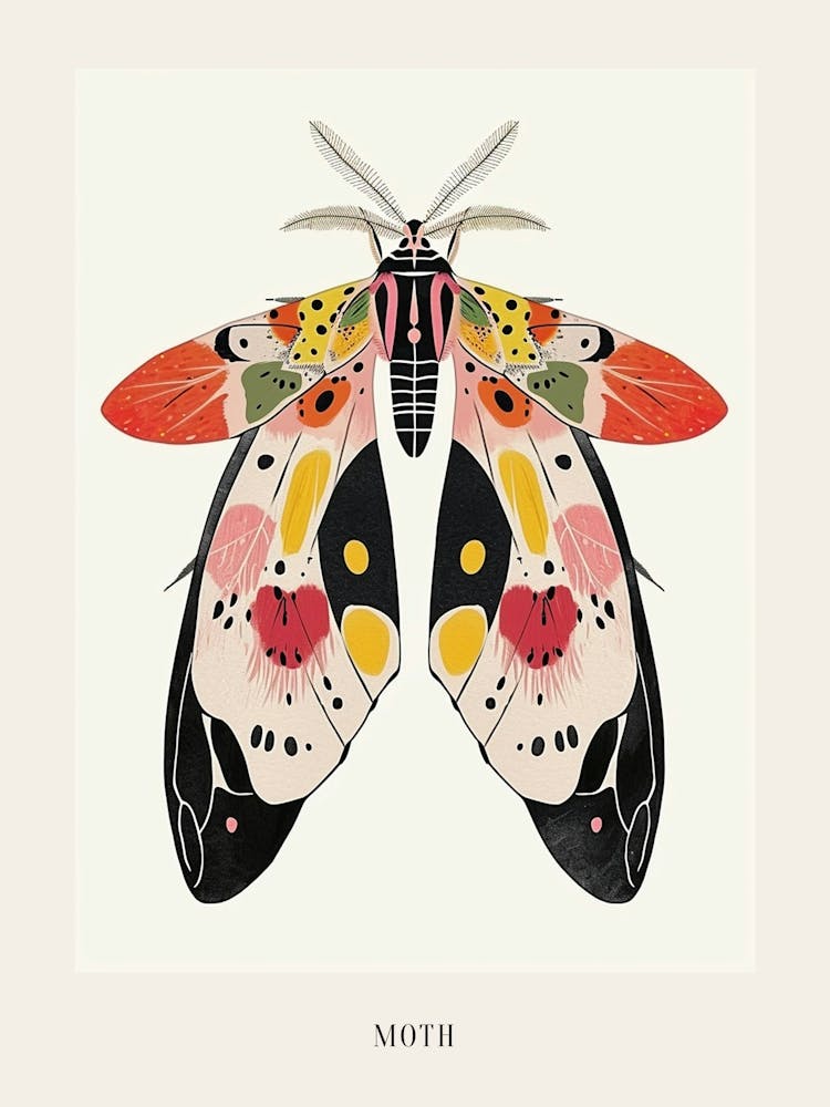 Colourful Insect Illustration Moth 43 Poster