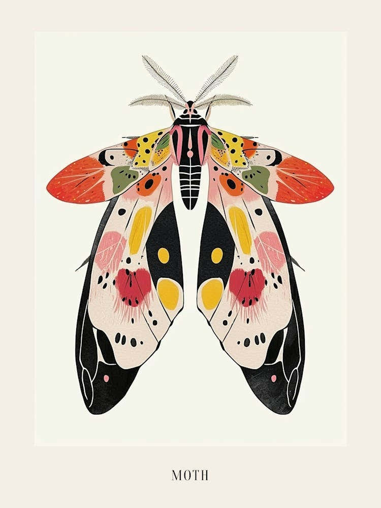 Colourful Insect Illustration Moth 43 Poster
