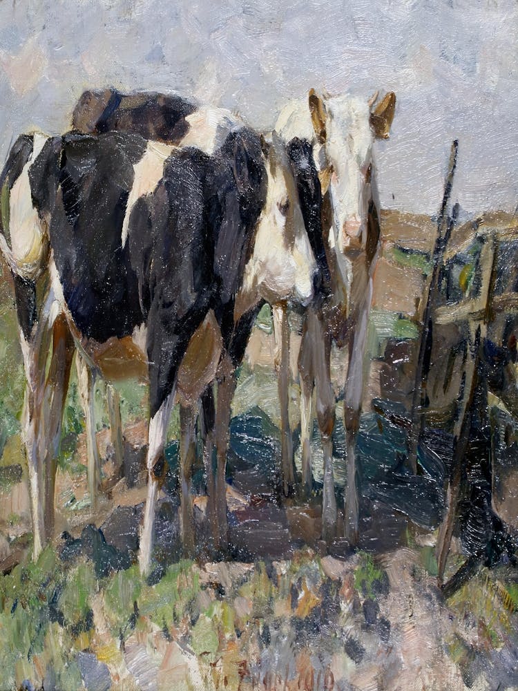 Two Cows In A Field