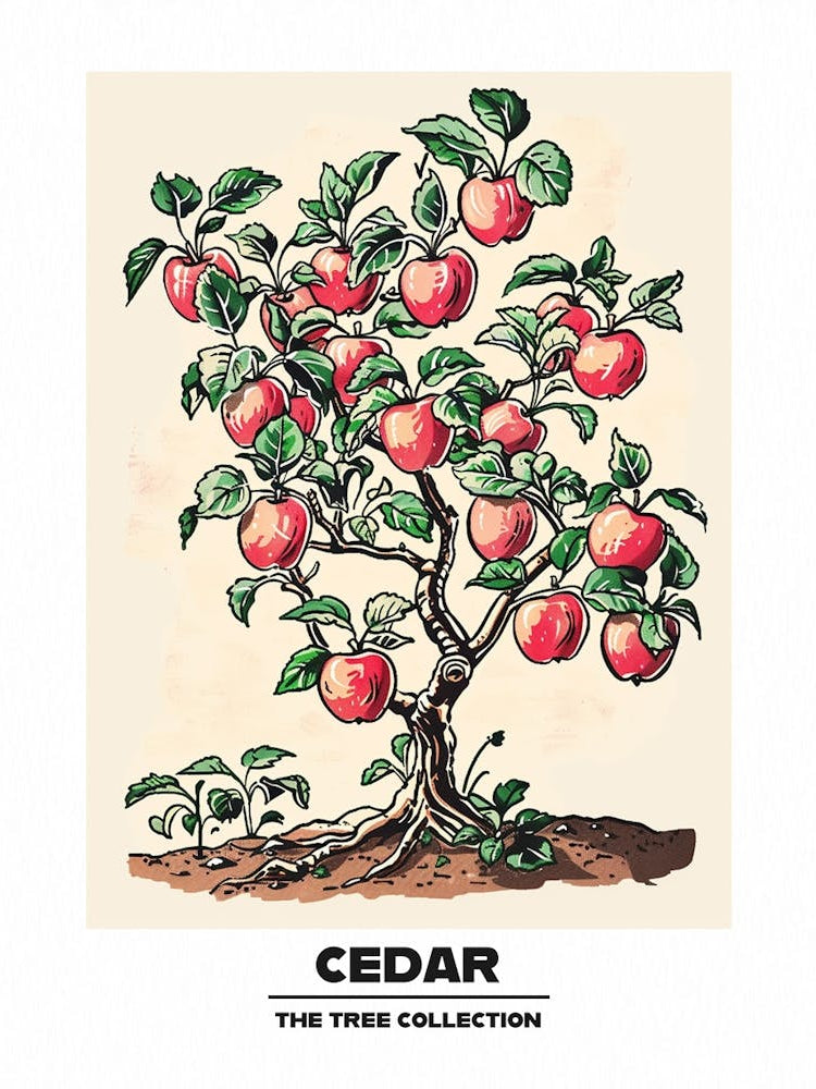 Cedar Tree Storybook Illustration 3 Poster