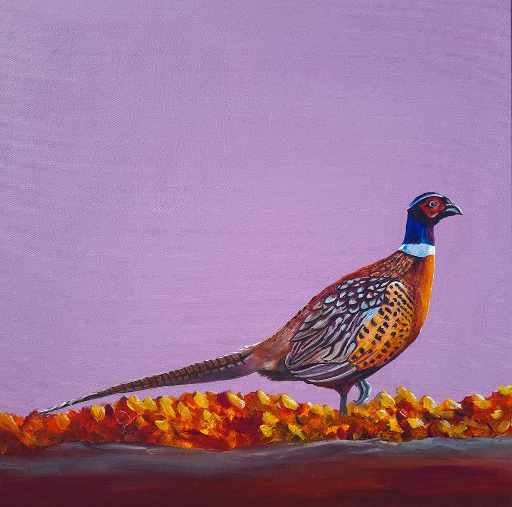 Autumnal pheasant SB