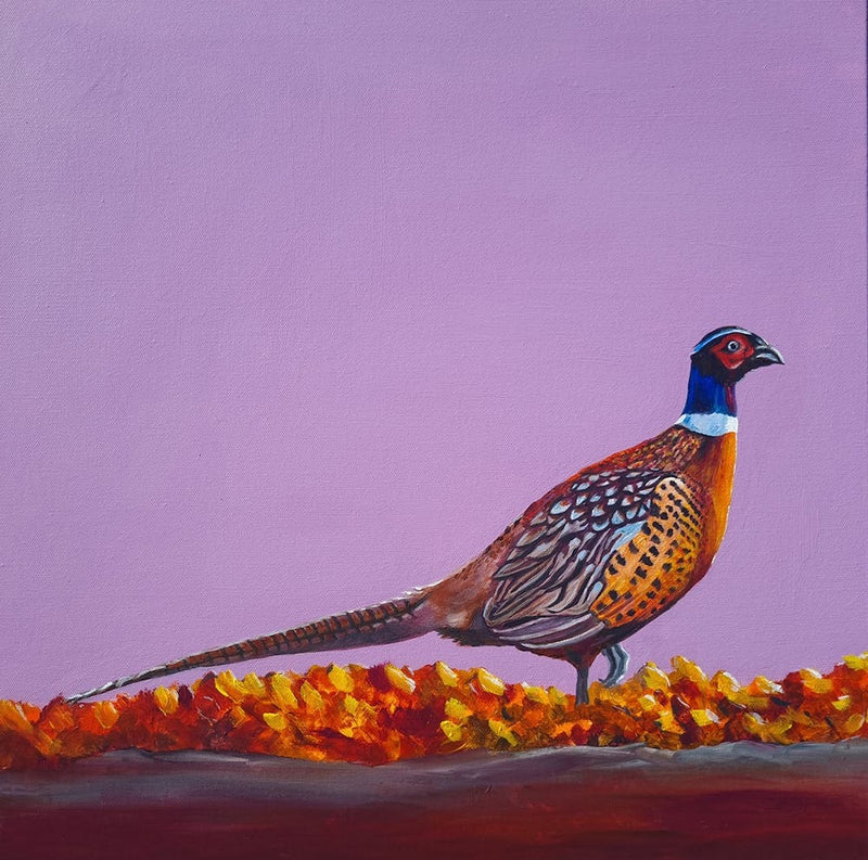 Autumnal pheasant SB