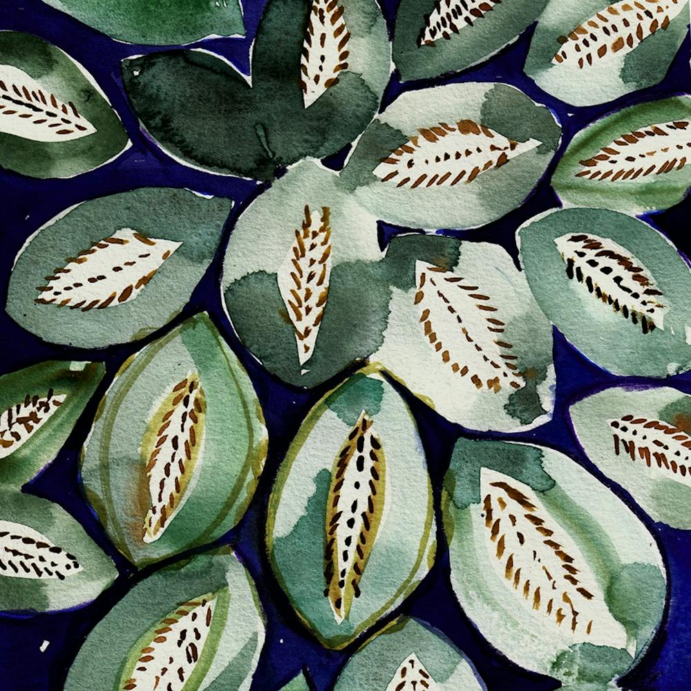 Cactus Leaves