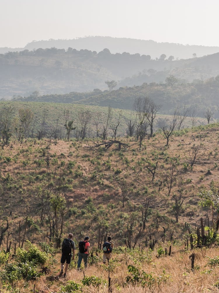 People Hiking In The Mountains Of Guinea In West Africa