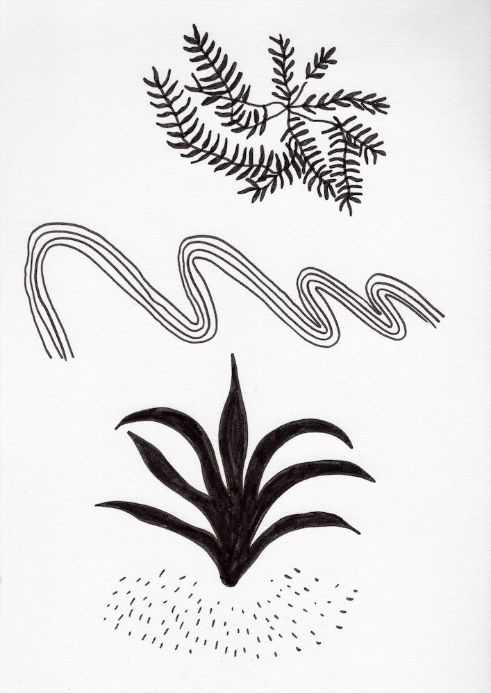 Abstract Plants