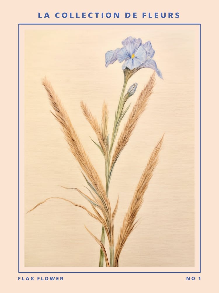 Flax Flower French Flower Botanical Poster