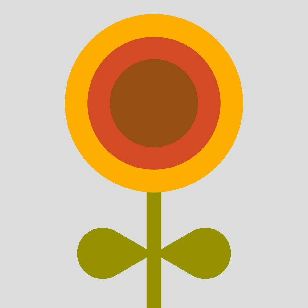 Sunflower 10