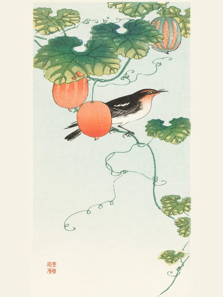 Songbird In Cucumber Plant (1925 1936), Ohara Koson