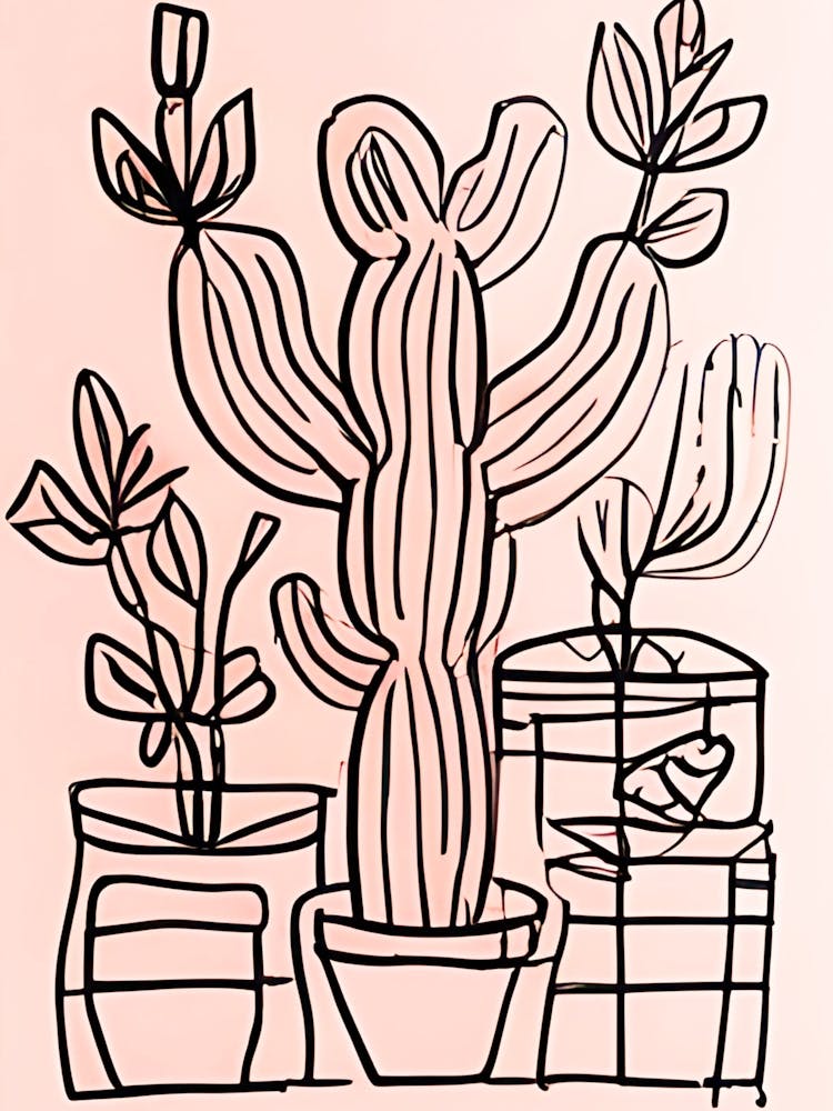 Cactus Drawing