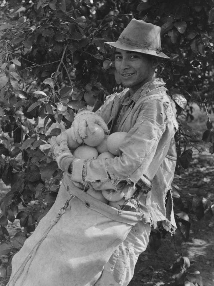Unbetiteltes Foto, möglicherweise im Zusammenhang mit Grapefruiternte nahe Weslaco, Texas von Russell Lee