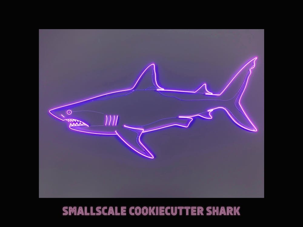 Neon Pink Purple Smallscale Cookiecutter Shark Poster 3
