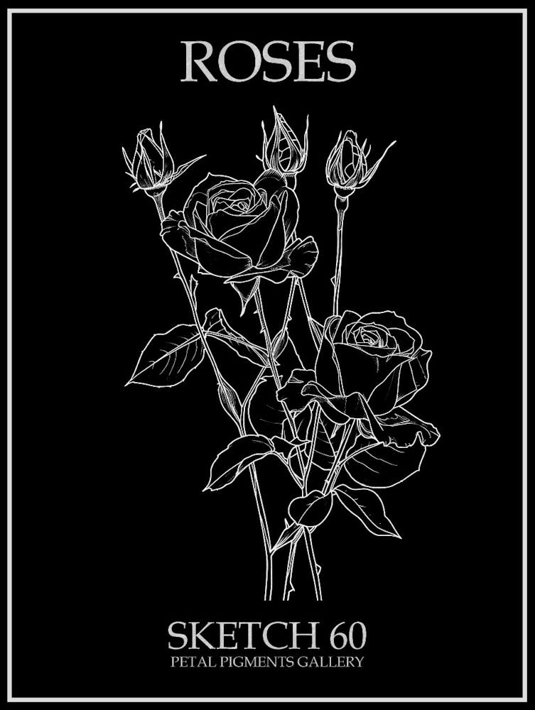Roses Sketch 60 Poster Inverted