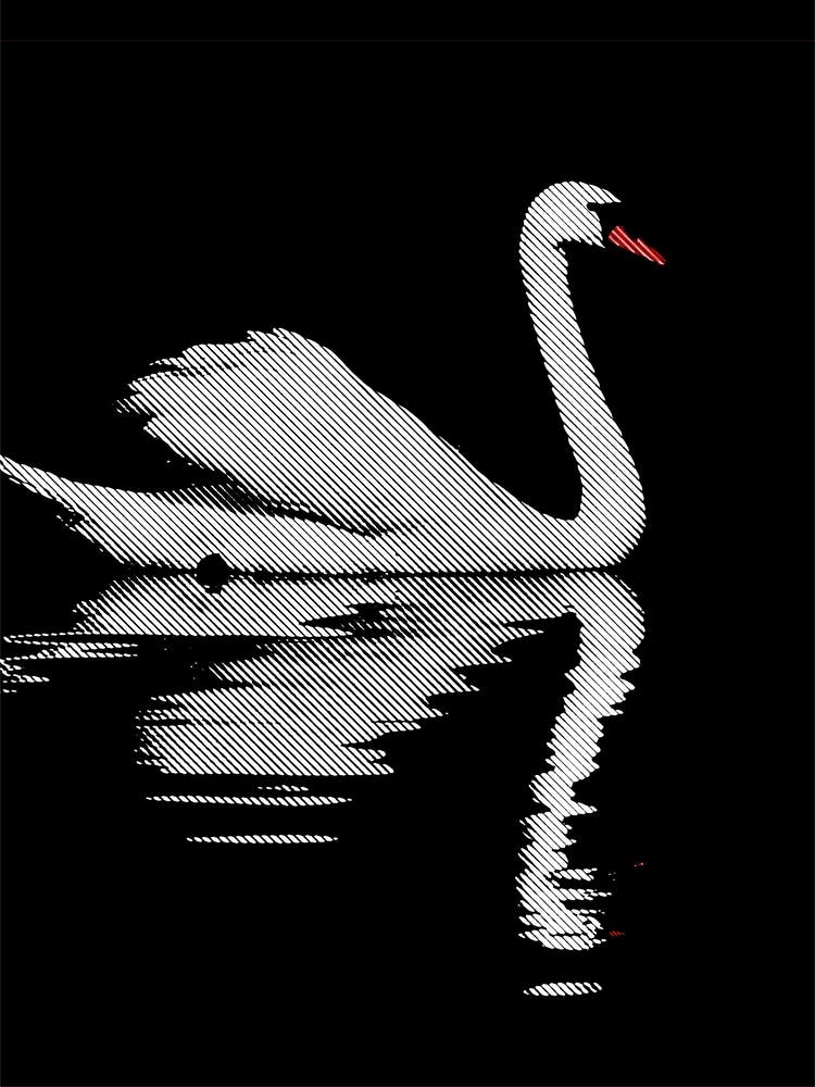 Swan Line Art
