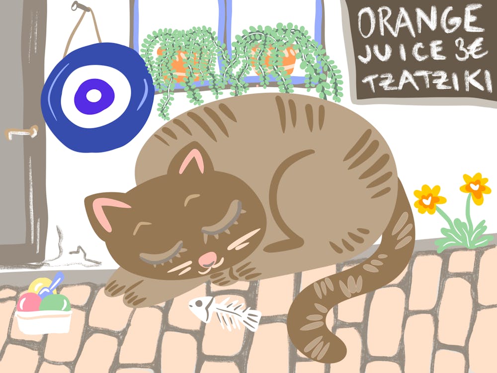 Greek Cute Cat Sleep on Ancient Paving