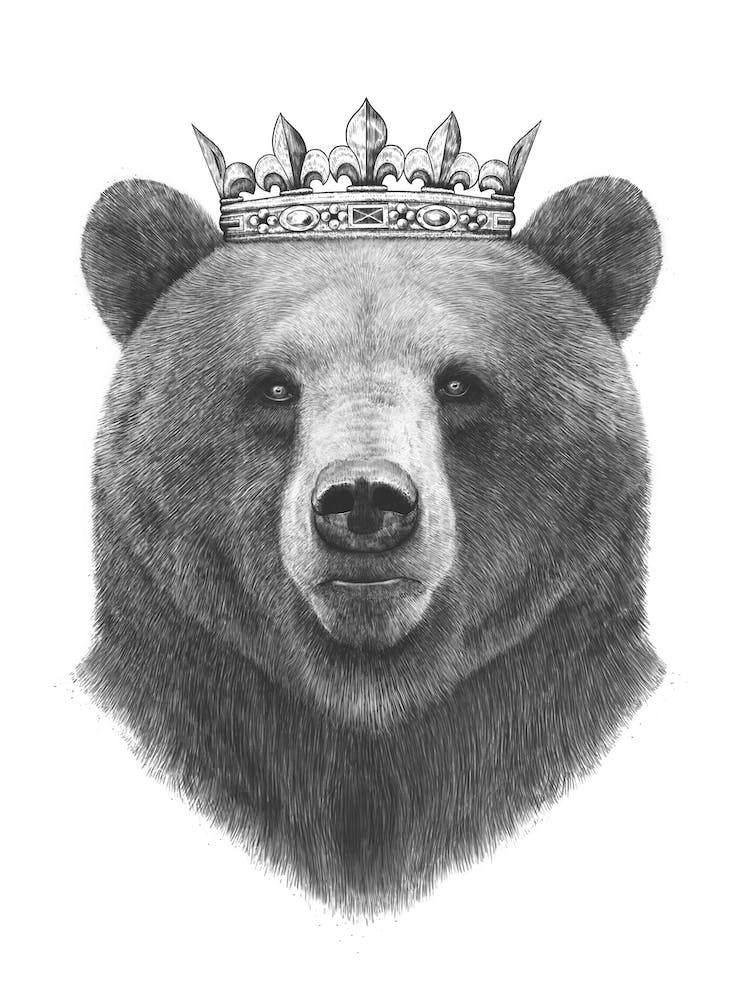 King Bear