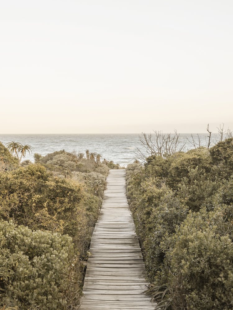 Boardwalk