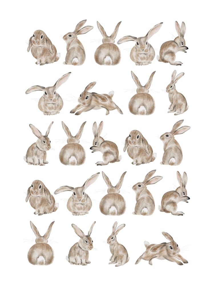 Lapins de Pâques