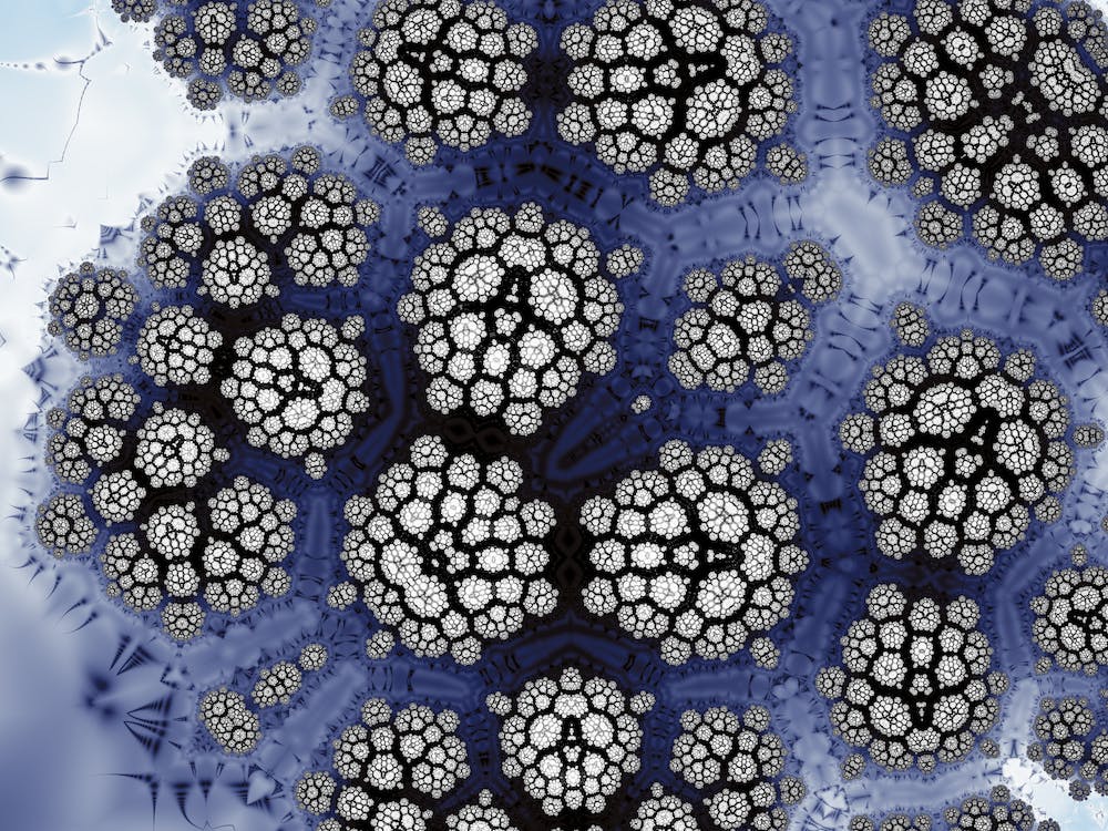 Cellular Structure
