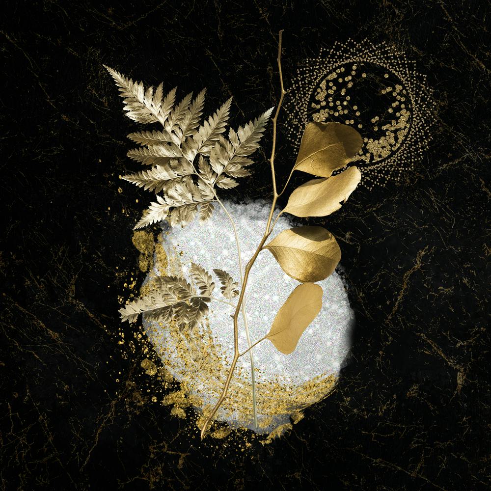 Luxurious White and Gold Leaf 2