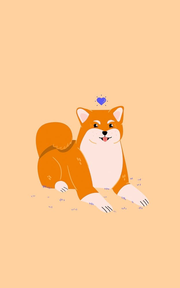 Glücklicher Shiba Inu