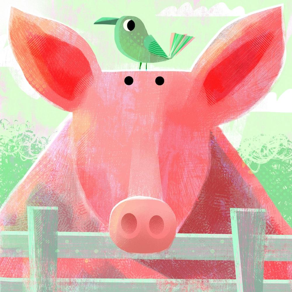 Pig With Pesky Bird Square