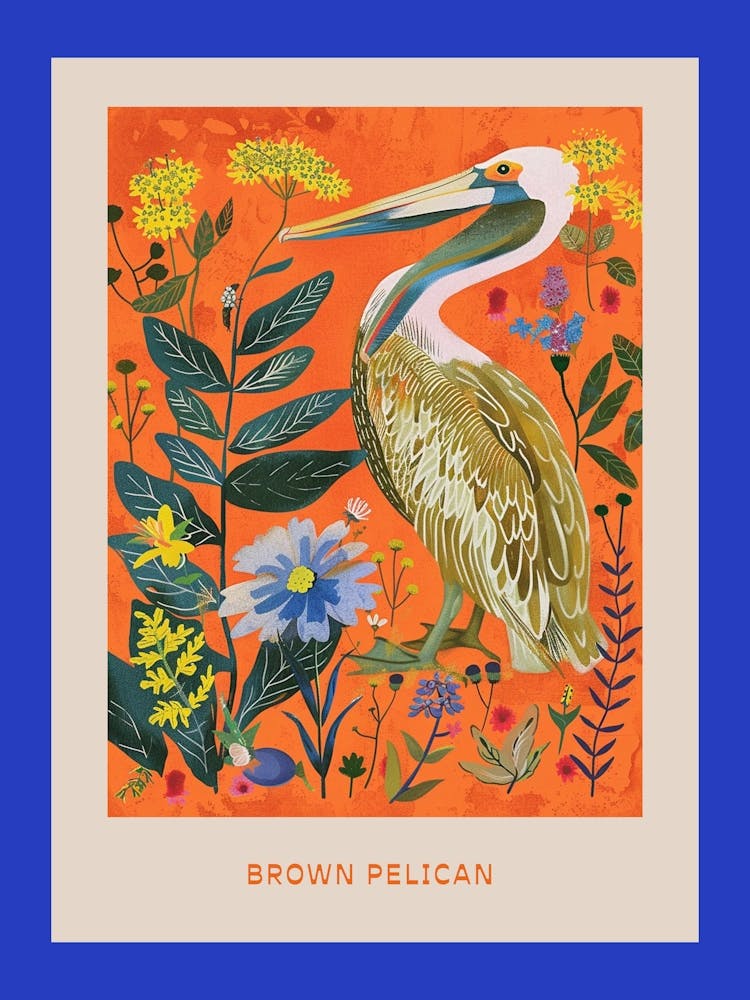 Frühlingsvögel Poster Braunpelikan 1