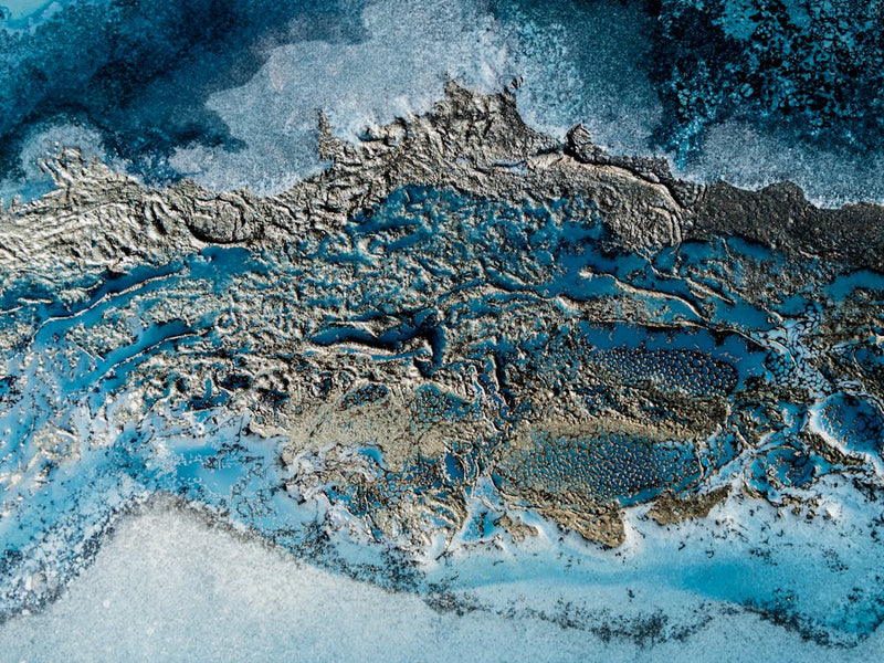 Ocean Life 4