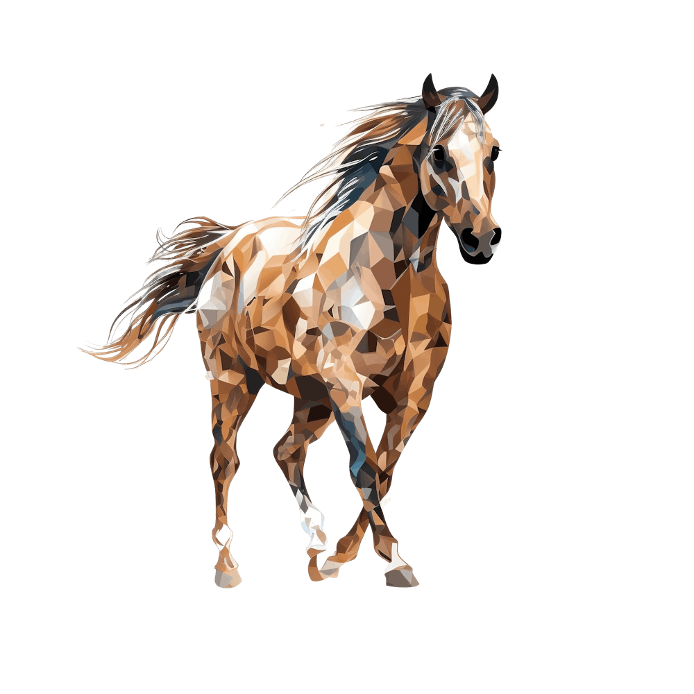 Arabian Horse