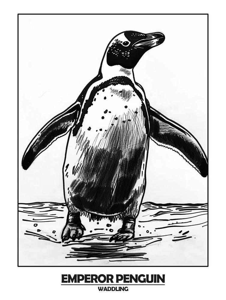 Penguin Waddling Poster 5