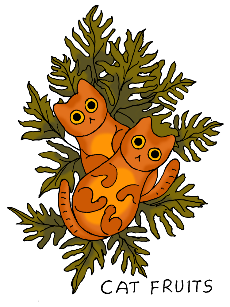 Orange Cats Fruits