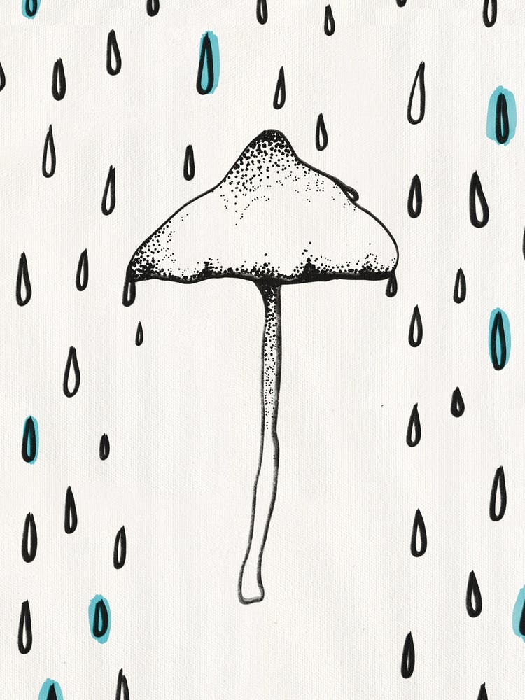 Mushroom Nature