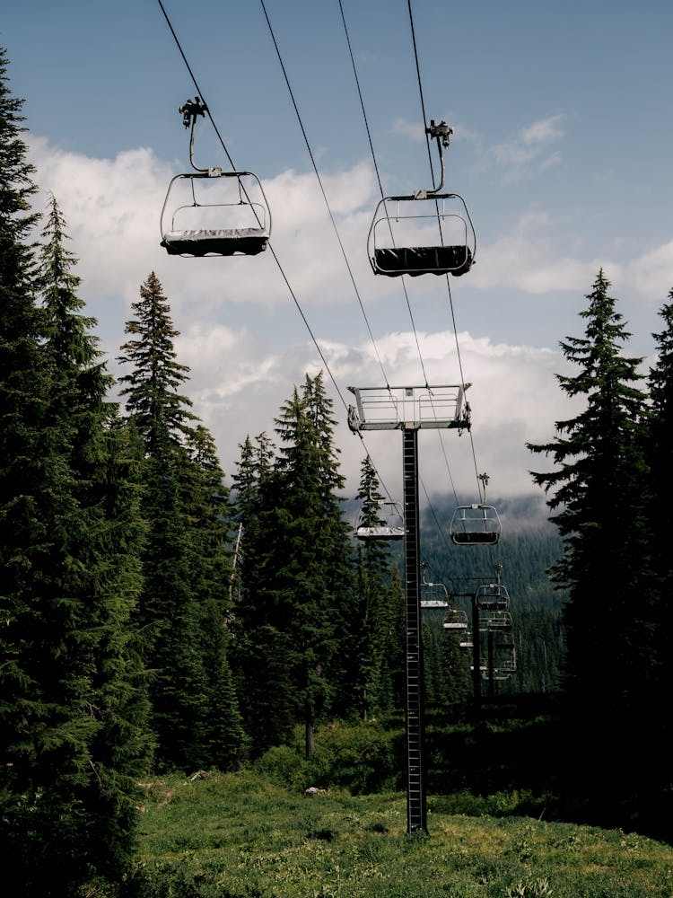 Forest Chairlift