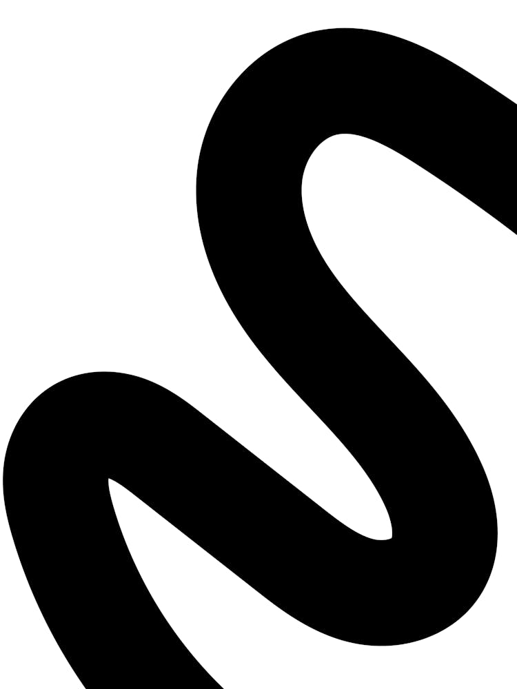 S Logo