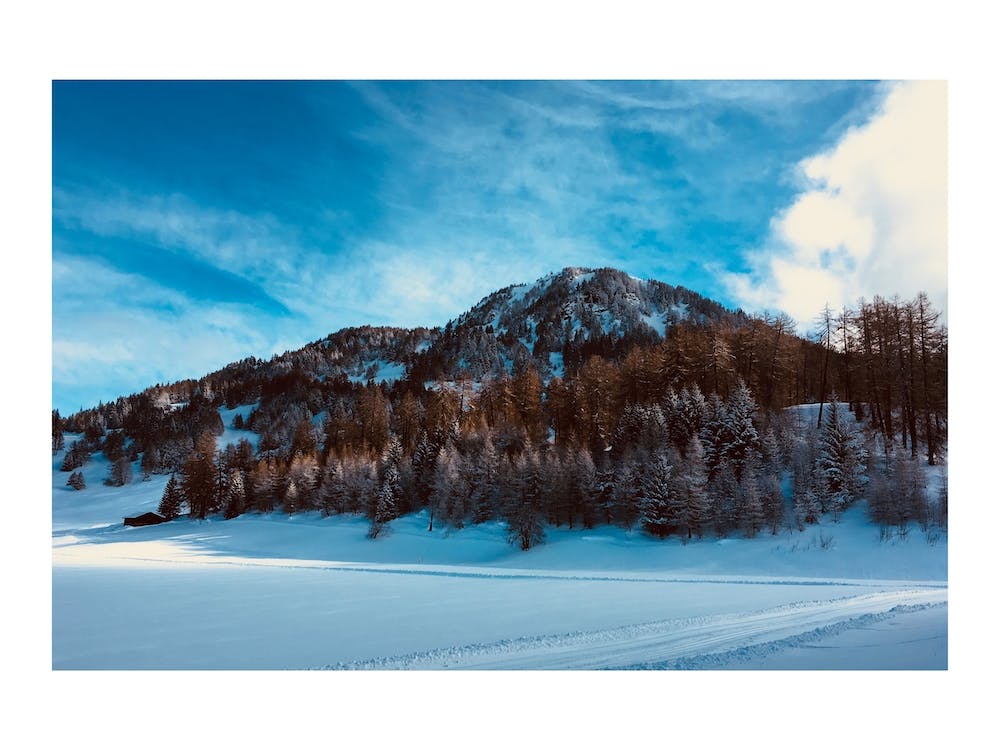 Winter Landscape