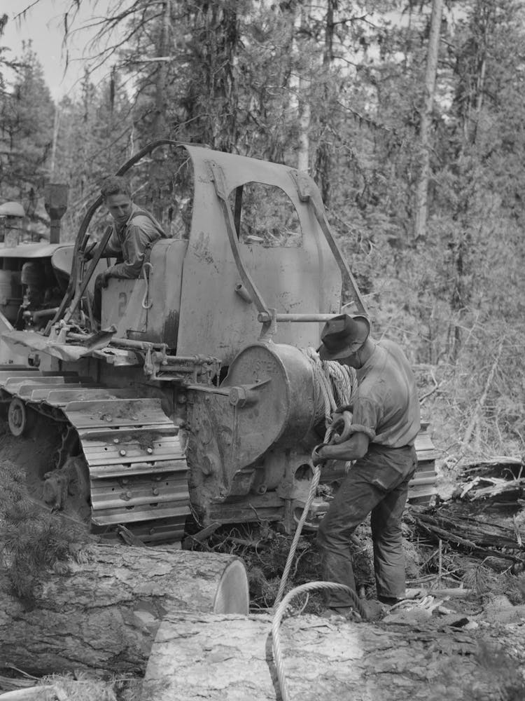 Grant County, Oregon, Malheur National Forest, Lumberjack Hitching A Cable To Log So That Caterpillar Tractor Can Snak