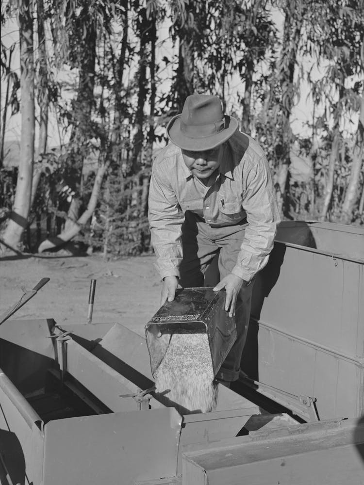 Salinas, California, Putting Seed Into The Planter Used In Guayule Nursery Of The Intercontinental Rubber Producers By 1