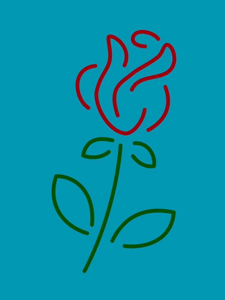 Rose Flower 1
