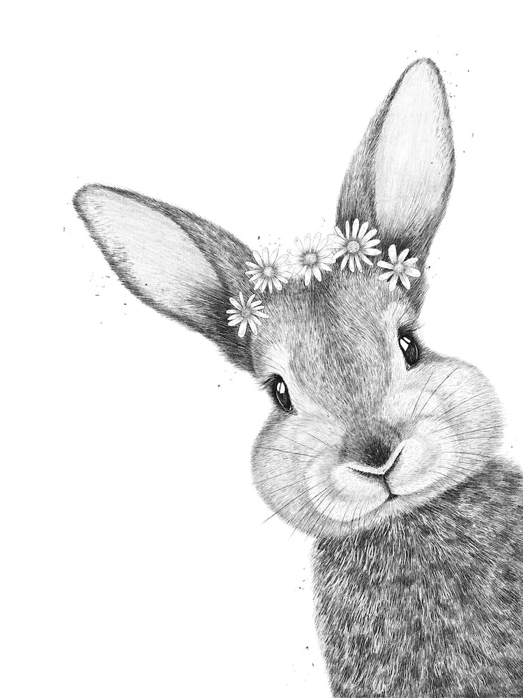 Lapin avec des Fleurs