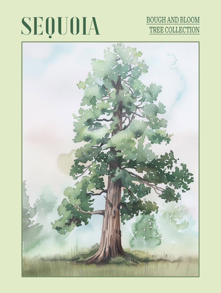 Sequoia Tree Atmospheric Watercolour Painting 8 Poster