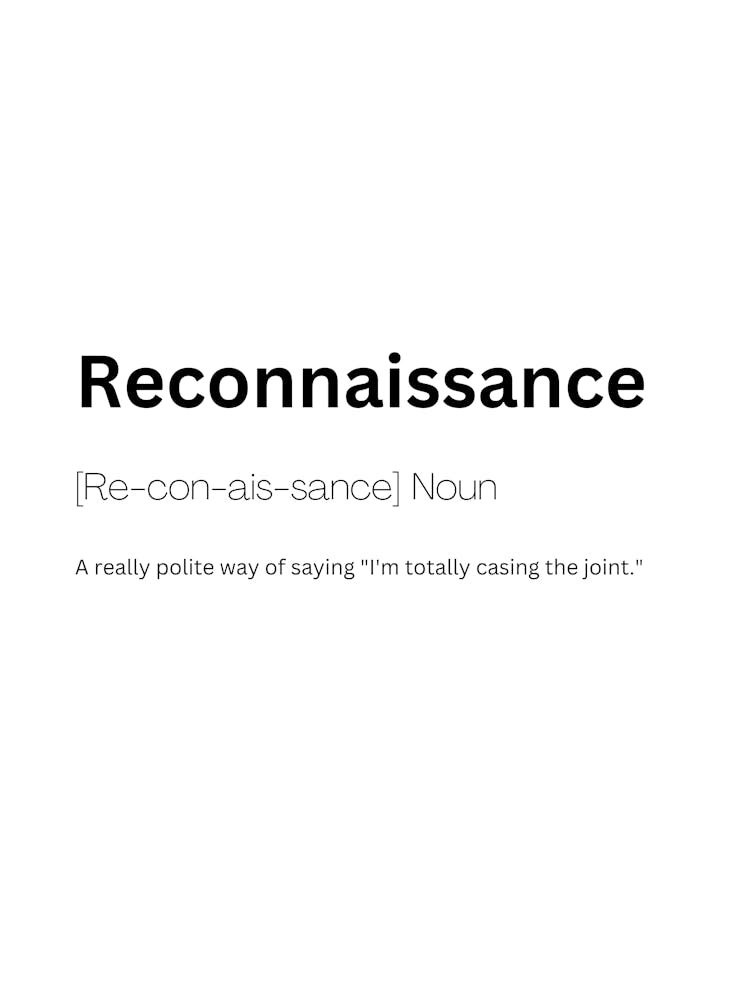 Reconnaissance Definition Meaning