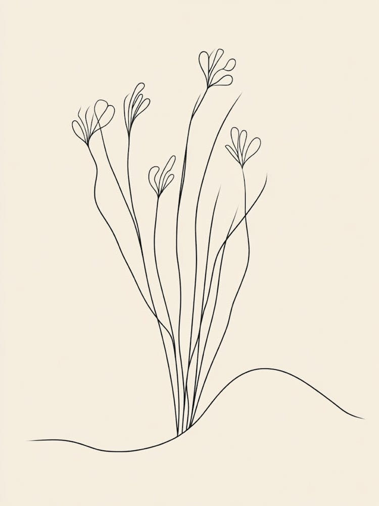 Single Line Drawing 1