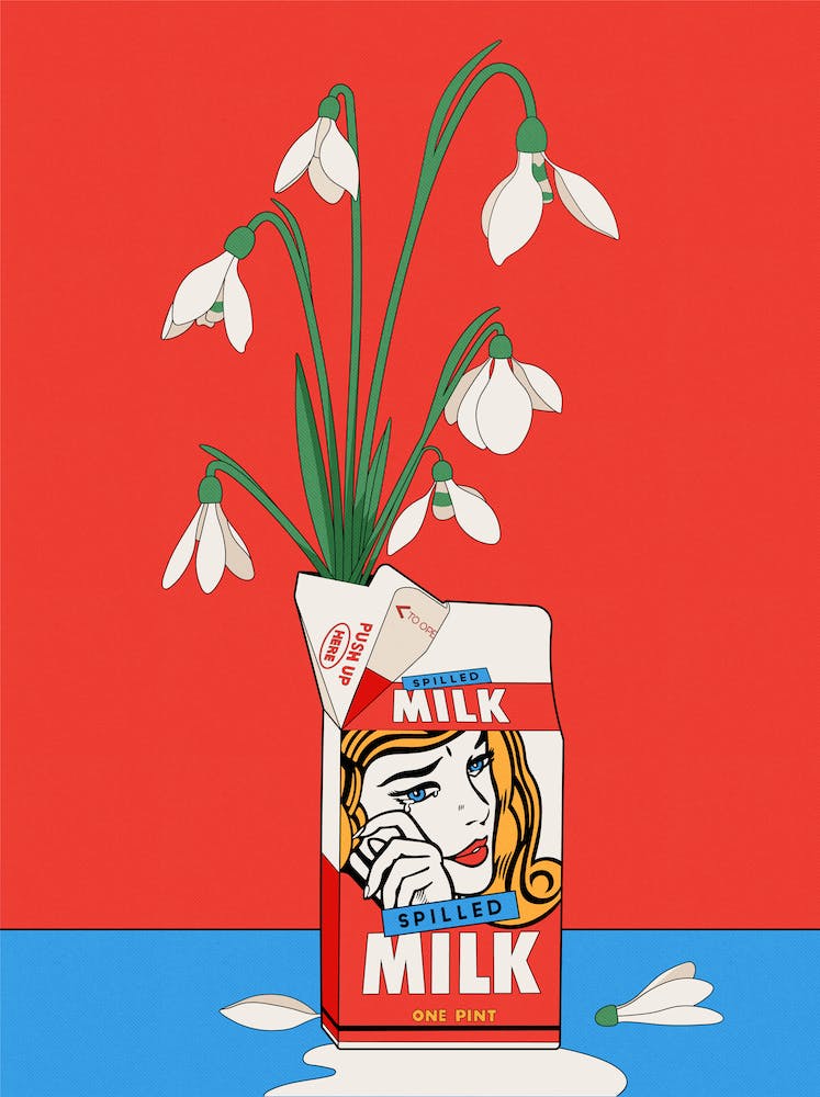 Spilled Milk Snowdrop Illustration