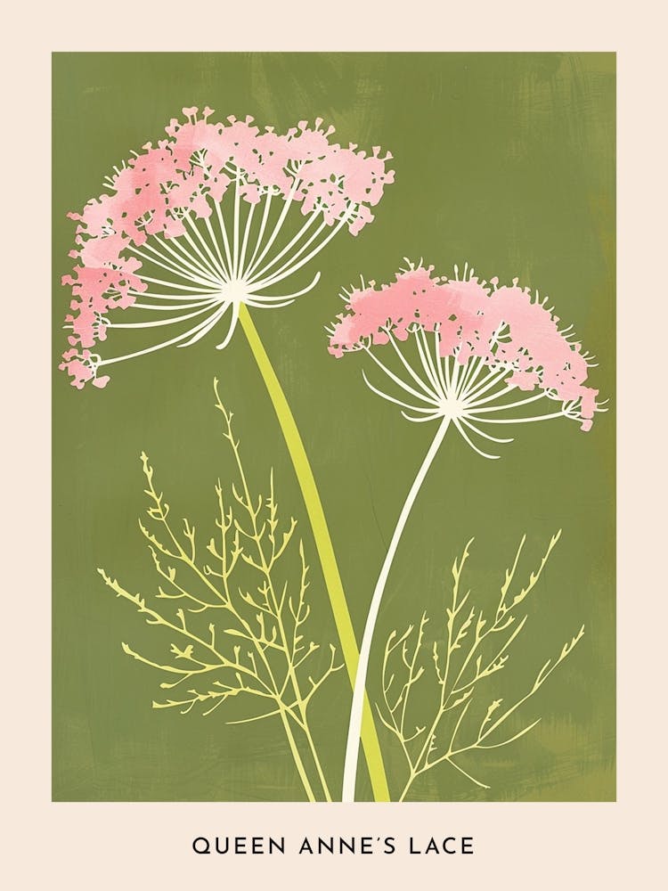 Pink & Green Queen Annes Lace 2 Flower Poster