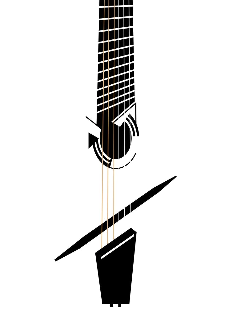 Guitare Acoustique Noire et Blanche 2