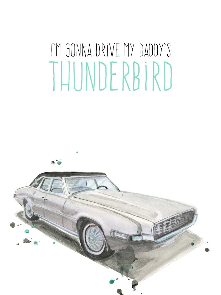 Thunderbird Drive