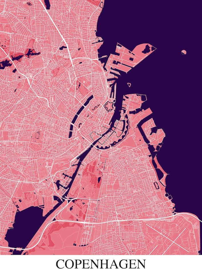 Copenhagen Pink Purple