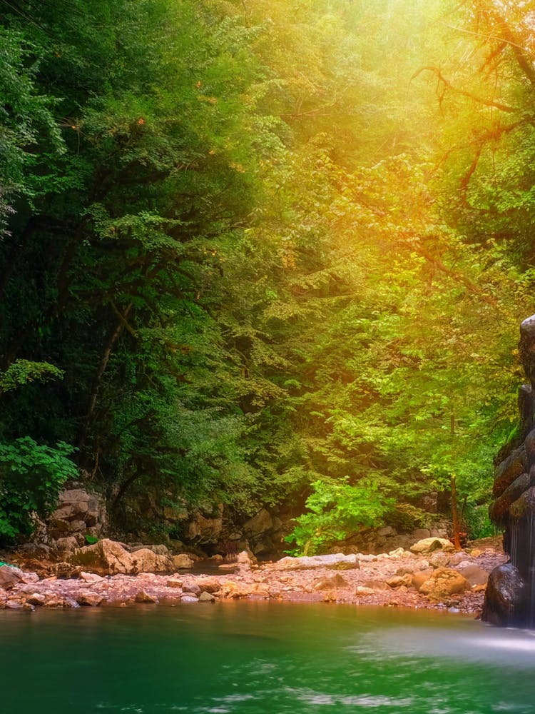 Waterfall In The Forest 2