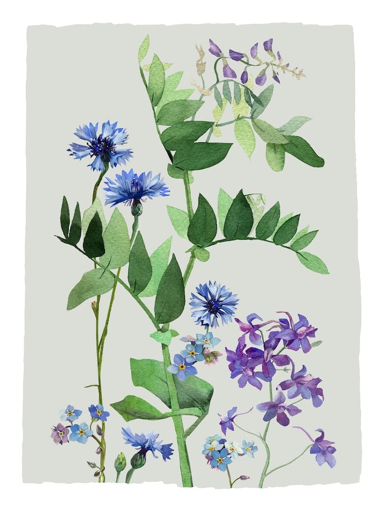 Botanical, Spring Flowers Print, Spring Floral Print, Flowers Print, Wildflowers Print, Flowers Home Decor, Floral Illustration