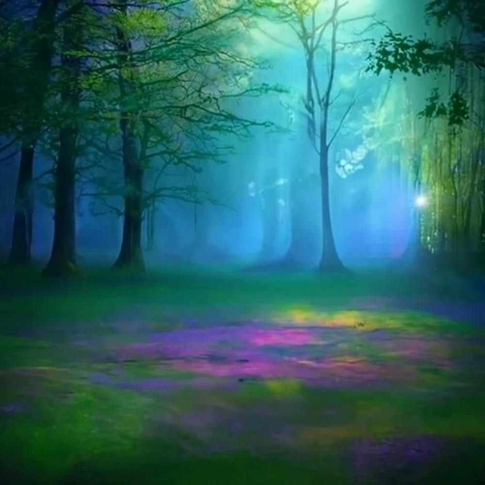Forest 54
