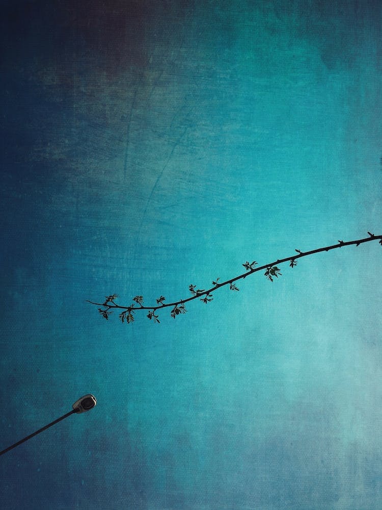 Hope